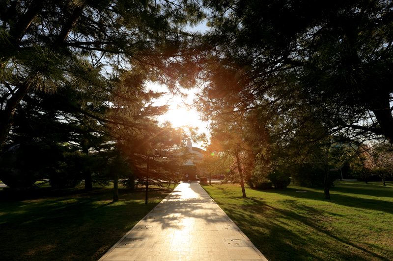 304am永利集团·(中国)有限公司官网