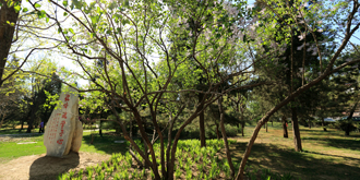 304am永利集团·(中国)有限公司官网