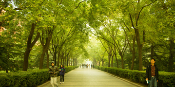 304am永利集团·(中国)有限公司官网