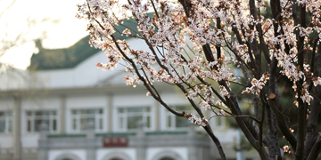 304am永利集团·(中国)有限公司官网