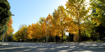 304am永利集团·(中国)有限公司官网