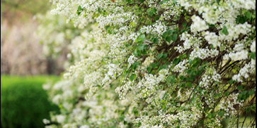 304am永利集团·(中国)有限公司官网