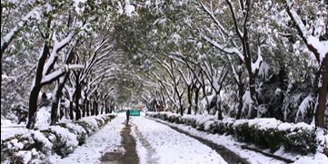 304am永利集团·(中国)有限公司官网