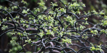 304am永利集团·(中国)有限公司官网