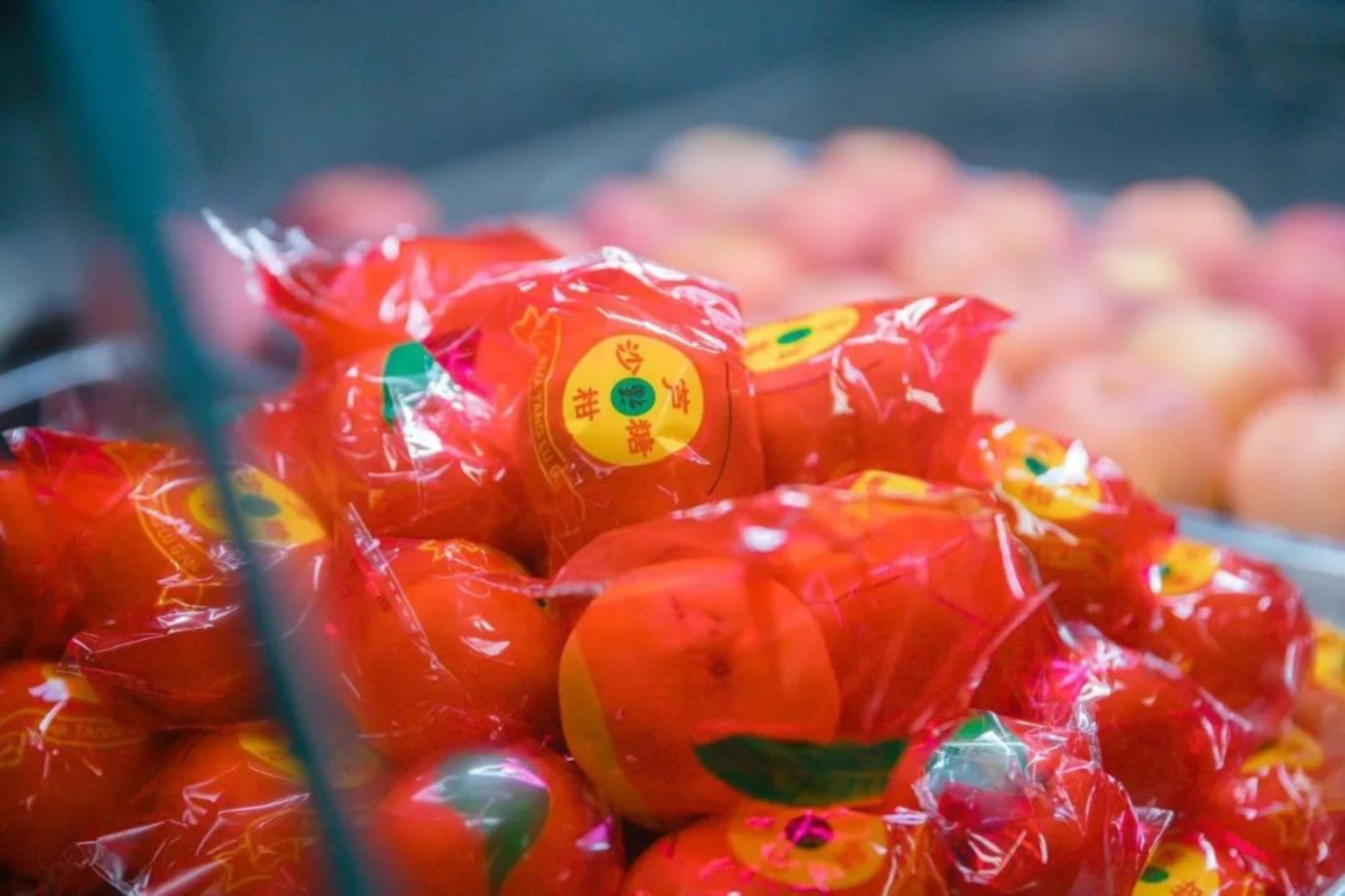 304am永利集团·(中国)有限公司官网