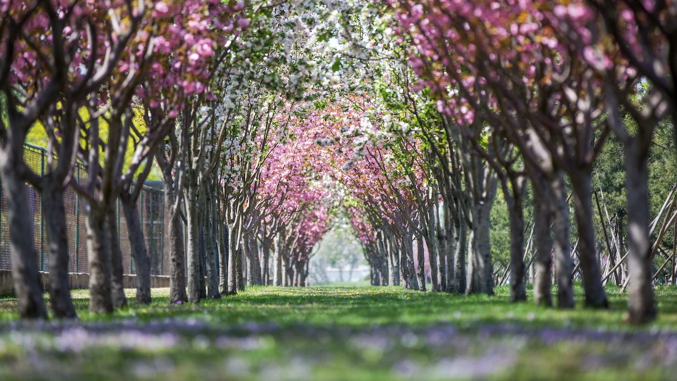 304am永利集团·(中国)有限公司官网
