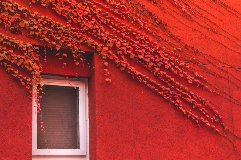 304am永利集团·(中国)有限公司官网