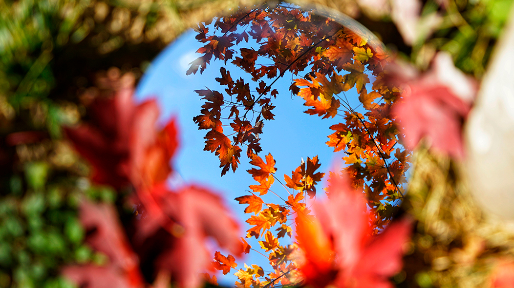 304am永利集团·(中国)有限公司官网