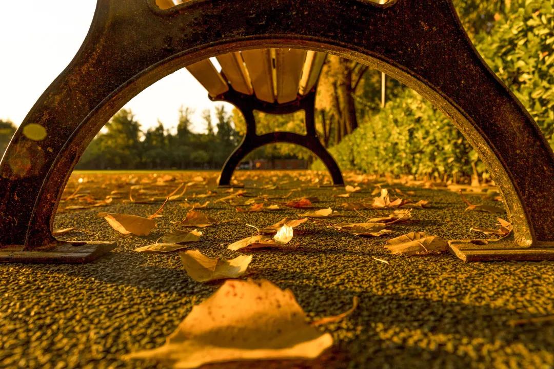 304am永利集团·(中国)有限公司官网