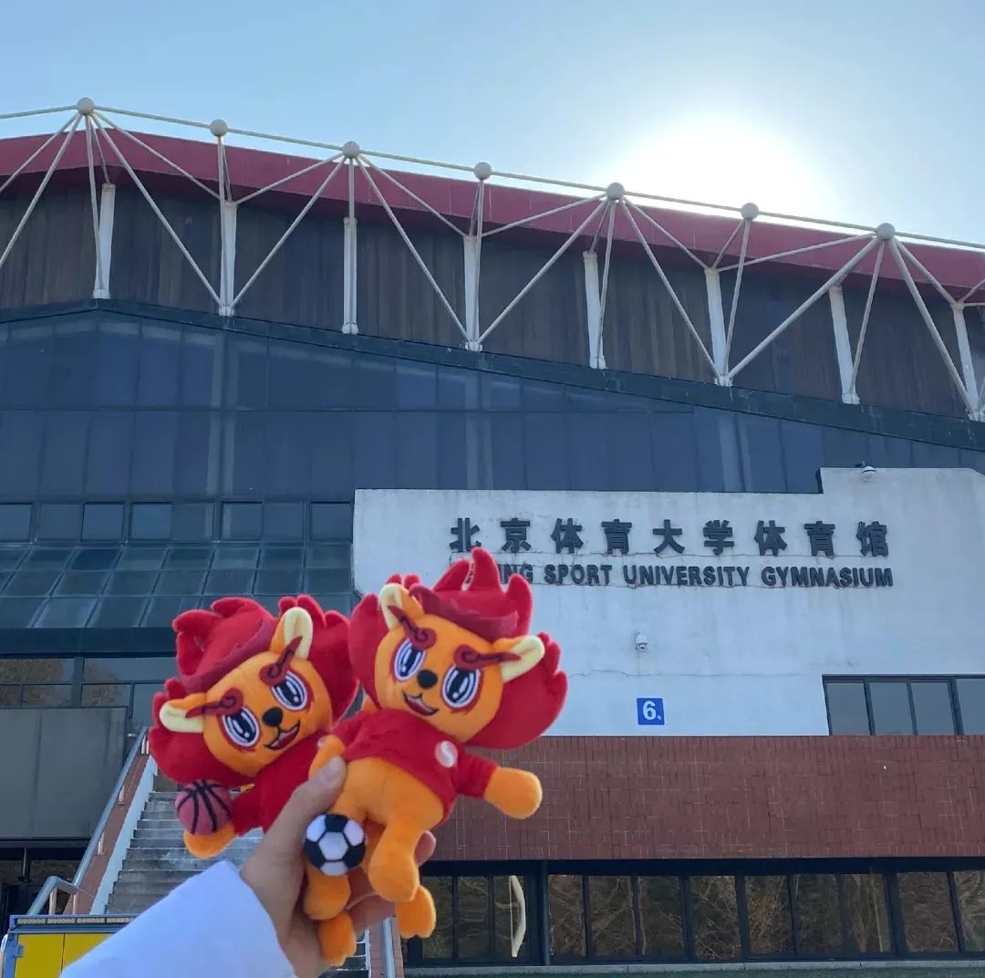 304am永利集团·(中国)有限公司官网