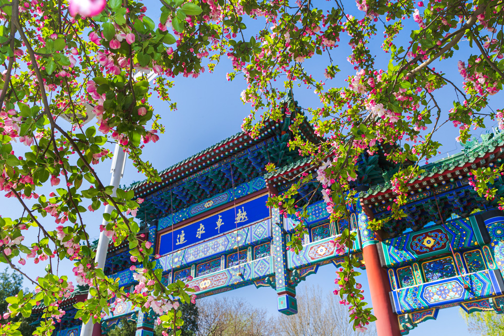 304am永利集团·(中国)有限公司官网