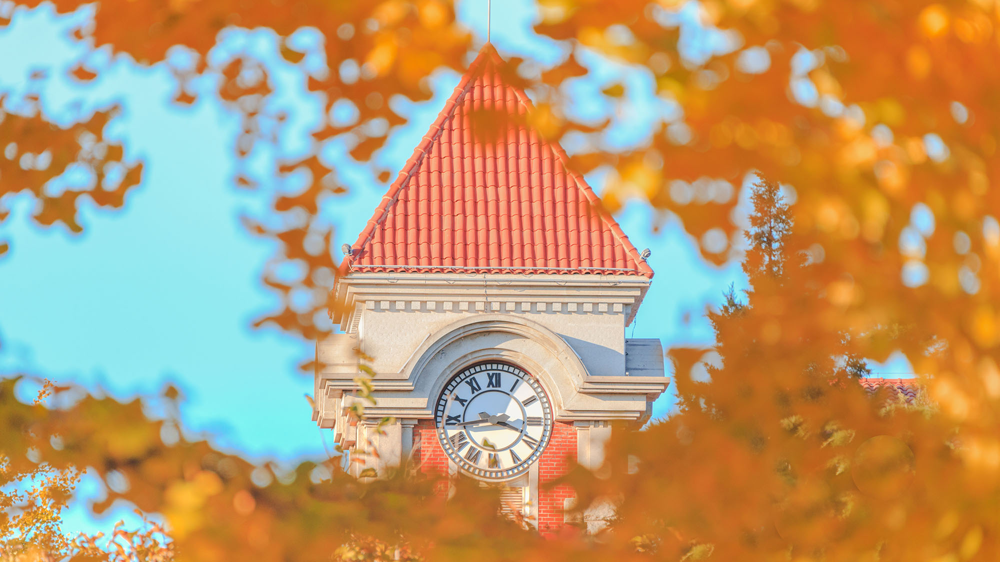 304am永利集团·(中国)有限公司官网